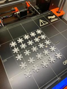 Snow Flake 3D Printer Model