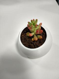 Succulent Pot – Angled Dome 3D Printer Model