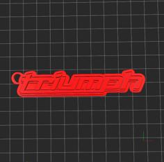 TRIUMPH Motorcycles Keyring 3D Printer Model