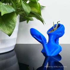 Flowerpot_SUNLU 3D Printer Model