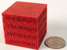 Voronoi Foam Anisocube 3D Printer Model