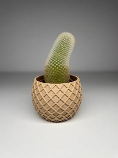 Crossed Cactus Planter 3D Printer Model