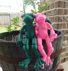 Froggy: The 3D Printed Ball-jointed Frog Doll 3D Printer Model