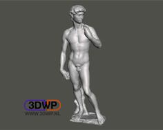 David By Michelangelo Sculpture (Statue 3D Scan) 3D Printer Model