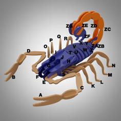 Manchurian Scorpion 3D Puzzle 3D Printer Model