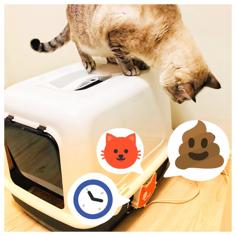 IoT Cat Litter Box 3D Printer Model