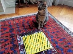 Cat Food Labyrinth 3D Printer Model