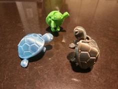 Baby Turtle 3D Printer Model