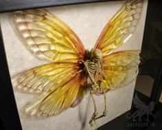 Fairy Skeleton 3D Printer Model