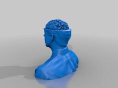 BrainyColbert 3D Printer Model