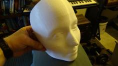 Female Face Mask – Rough Cut Stone 3D Printer Model