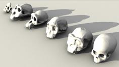 Evolutionary Skulls Set 3D Printer Model