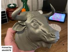 Bull Head For Wall (Large) 3D Printer Model