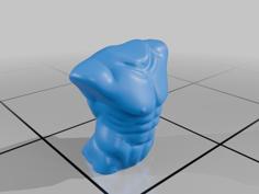 Bust Of A Man 3D Printer Model