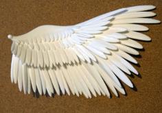 Wings – Improved Print-ability – Double Feather Count For Strength 3D Printer Model