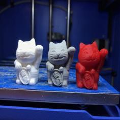 Money Cat Valve Cap Schrader 3D Printer Model