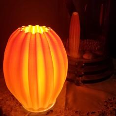 IKEA Lamp Shade Balloon Lamp Or Vase 3D Printer Model