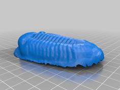 Trilobite Model 3D Printer Model