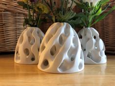 Reticular Forms 3D Printer Model