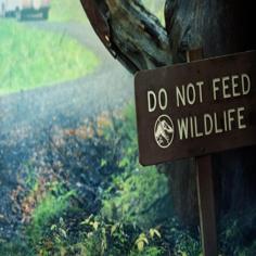 JW – DO NOT FEED WILD LIFE Sign 3D Printer Model