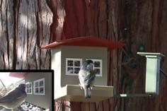 Bird Feeder House With Motion Activated Camera 3D Printer Model