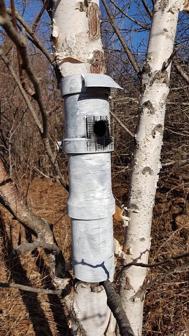 Chickadee Nest Box 3D Printer Model