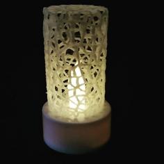 Voronoi Light 3D Printer Model