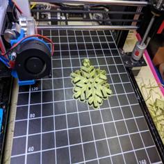 Snowflake 3D Printer Model