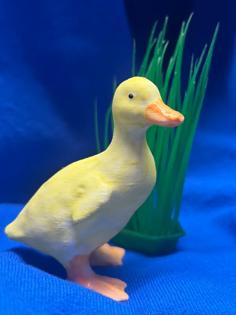 Duckling 3D Printer Model