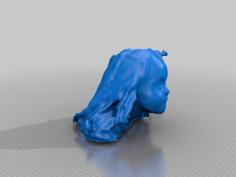 Mem 3D Printer Model