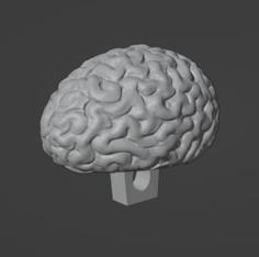 Brain Button 3D Printer Model