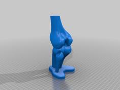 Rodilla 3D Printer Model