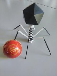 Articulated Phage Model 3D Printer Model