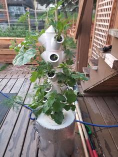 Modular Hydroponic Tower Garden 3D Printer Model