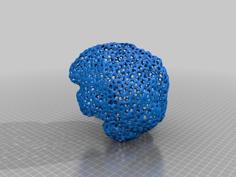 Voronoi Brain 3D Printer Model