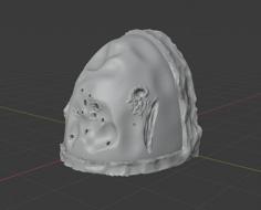 Warbattered Pauldrons 3D Printer Model