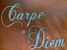 Carpe Diem – Design 3D Printer Model