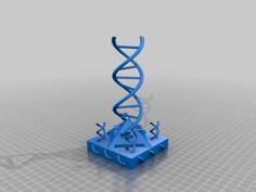 DNA Double Helix (no Supports Needed) 3D Printer Model