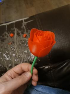 Rose And Stem (Remix) 3D Printer Model