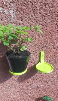 Wall Mounted Plant Pot Holder 3D Printer Model