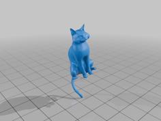 Witch On A Broom With A Cat 3D Printer Model