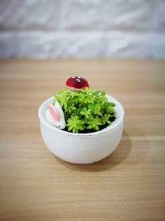 Succulent Pot And Saucer Tray 3D Printer Model