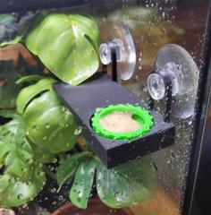 Crested Gecko Wall Feeder 3D Printer Model