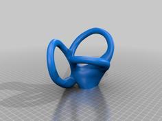 Vestibular Apparatus Education Model 3D Printer Model