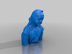 Rubyheughan 3D Printer Model