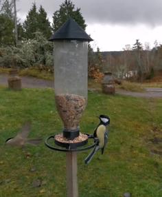 Bird Feeder 3D Printer Model