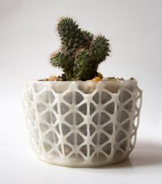 Skeleton Planter 3D Printer Model