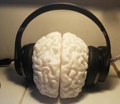 Human Brain Headphones Stand 3D Printer Model