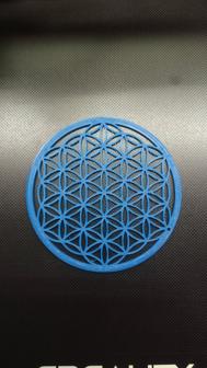 Flower Of Life Earring 3D Printer Model