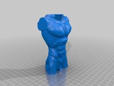 TORSO HUMANO 3D Printer Model